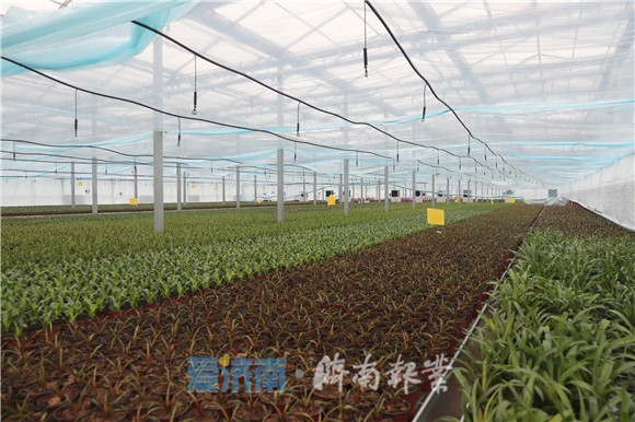 20211209012245297 20211209012245297