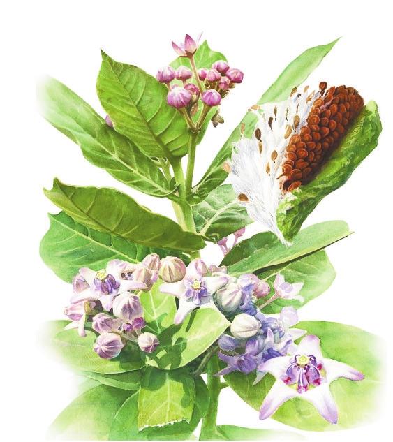 微信圖片_20211213093248 微信圖片_20211213093248