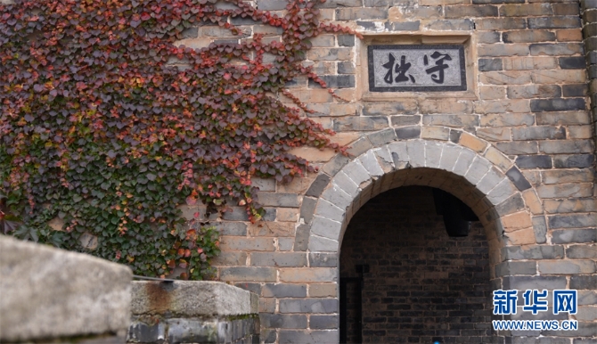 f44d30758ab0231bf3bd21