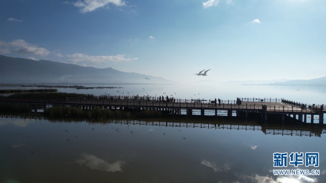 1310366385_16392331873921n 1310366385_16392331873921n