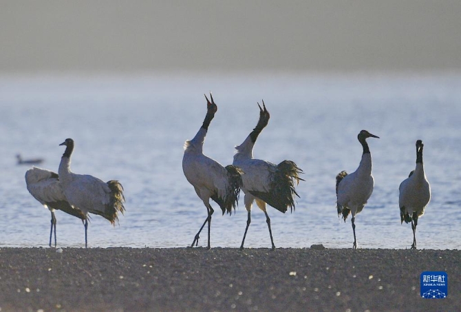 f44d30758ab0231bfbfa49 f44d30758ab0231bfbfa49