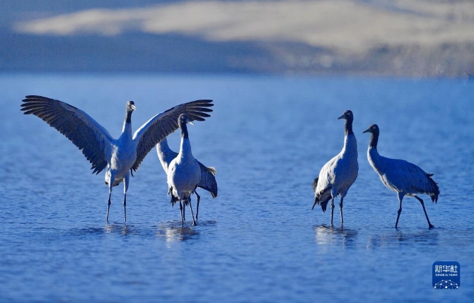 f44d30758ab0231bf39213 f44d30758ab0231bf39213