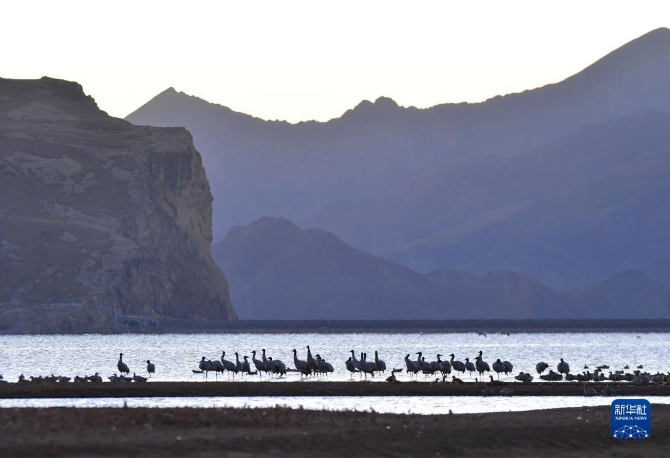 f44d30758ab0231bfbfa4a f44d30758ab0231bfbfa4a