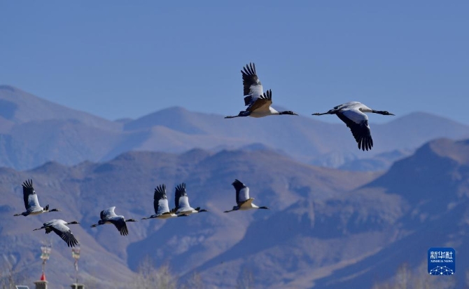 f44d30758ab0231bfbfb4c f44d30758ab0231bfbfb4c