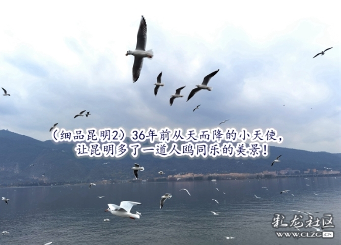 0y736vu83c6q 0y736vu83c6q