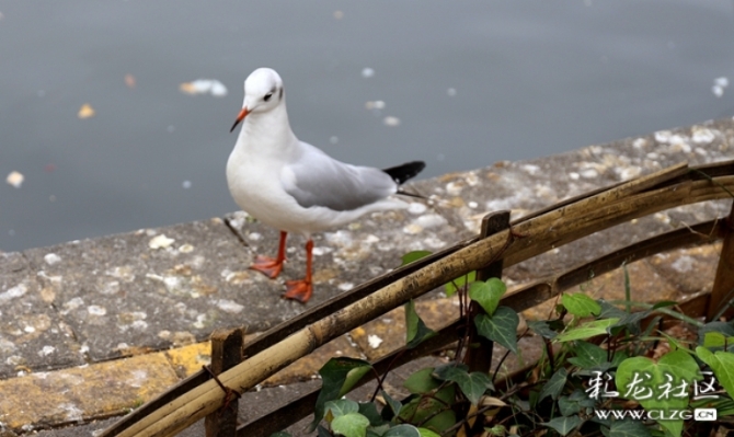 4dtkilclqmo 4dtkilclqmo