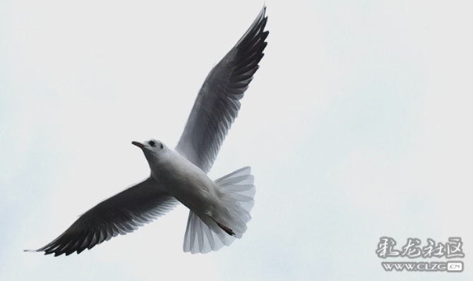 d2p91jlpw7 d2p91jlpw7