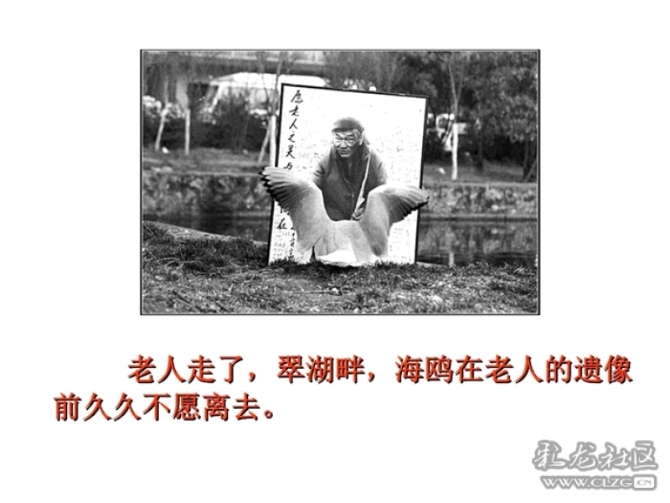 w75ts1v6o5p w75ts1v6o5p