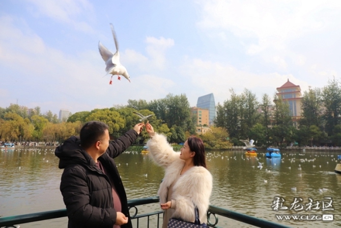 w8eifn042b w8eifn042b