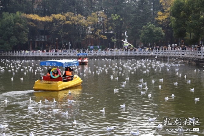 jeo91adw26f jeo91adw26f