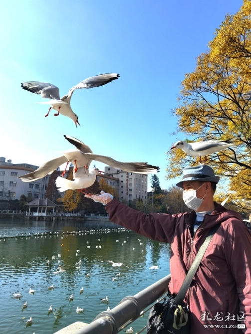 upylczu3ddg upylczu3ddg