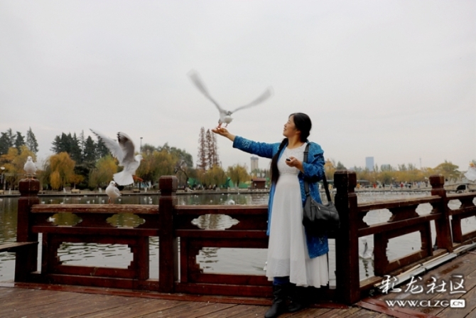 dspd78thr6v dspd78thr6v