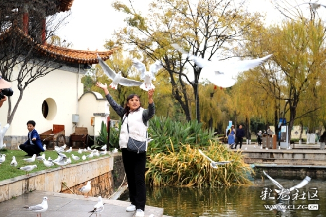 m6qir65rcxh m6qir65rcxh