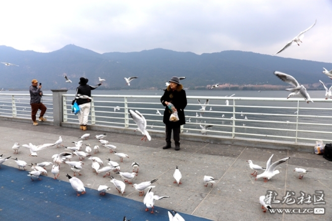 cixiybwp1p5 cixiybwp1p5