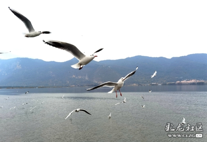 7r4slh9pc9f 7r4slh9pc9f