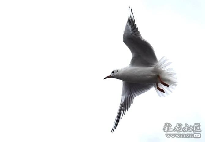 vj5suy4laxe vj5suy4laxe