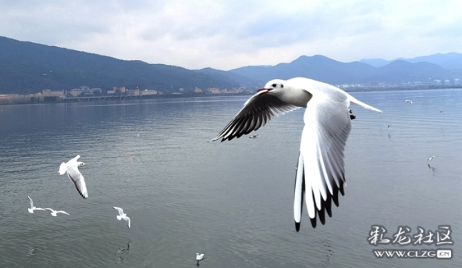 aezy71su07t aezy71su07t