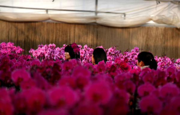 e1cc9ac522f04ddab8b47afd0d8fff73_small e1cc9ac522f04ddab8b47afd0d8fff73_small