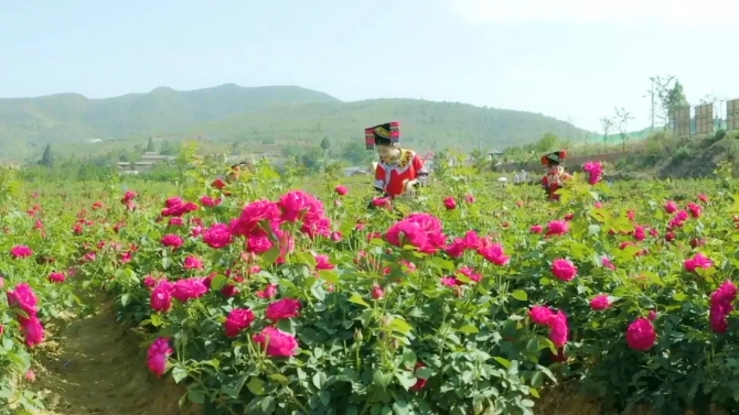 640.webp (11) 640.webp (11)