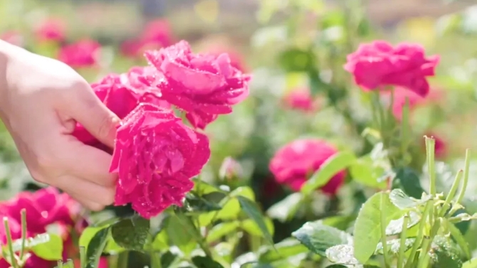 640.webp (12) 640.webp (12)