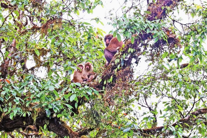 微信圖片_20211214081102 微信圖片_20211214081102