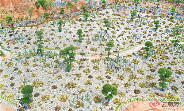 00304344362_fd914b26 00304344362_fd914b26