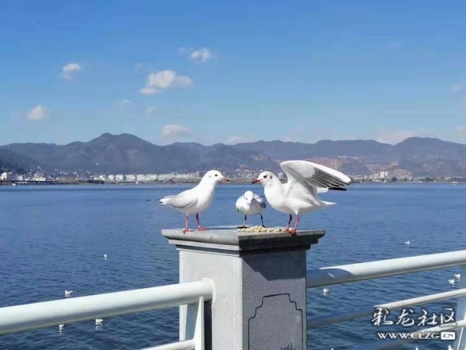 7eo0ewx7j2 7eo0ewx7j2