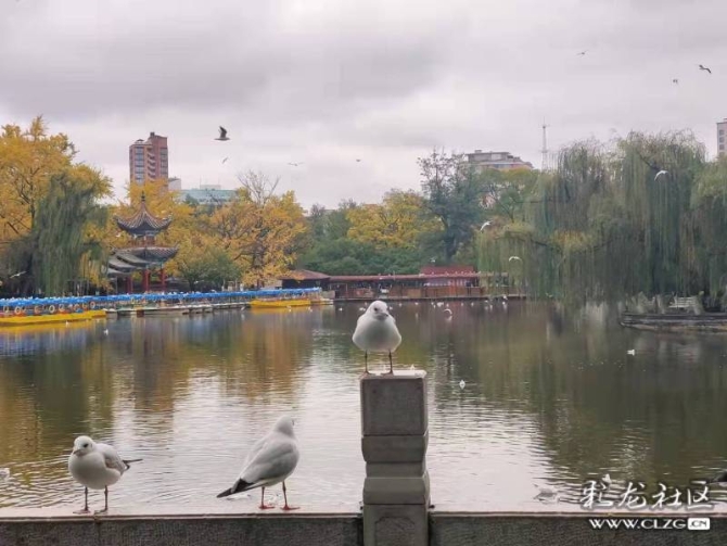 egug68onw1 egug68onw1