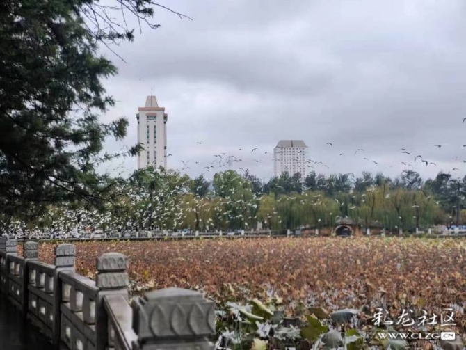 22m8pteabk1j 22m8pteabk1j