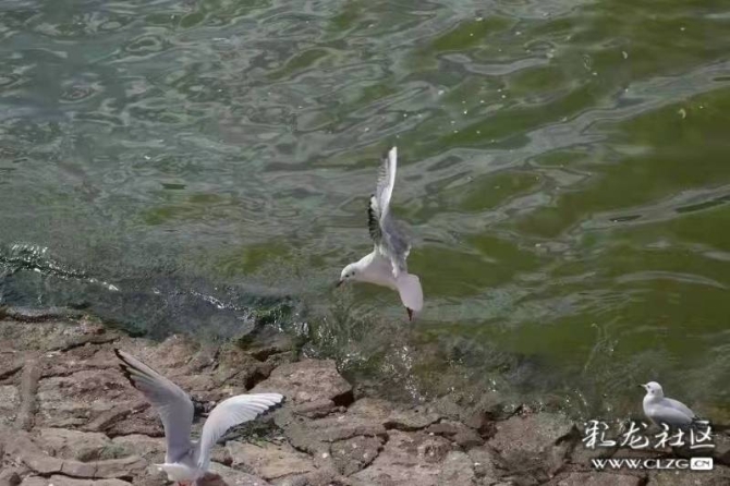 2b6jd6l9lhn 2b6jd6l9lhn