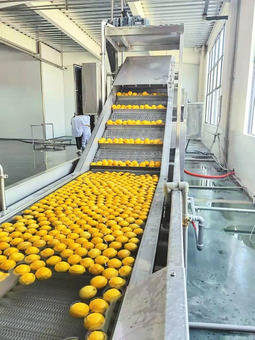 微信圖片_20211215095455