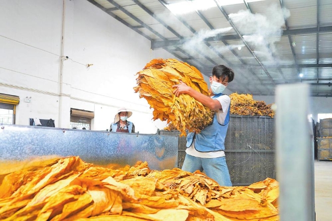 微信圖片_20211215105250 微信圖片_20211215105250