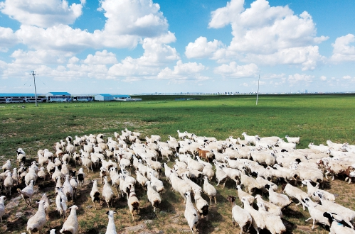 202112153068287f53a6405385855a0f560e28fc_3