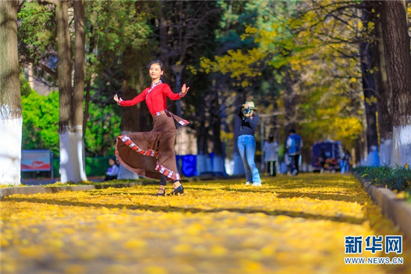 1310373194_16395314478361n 1310373194_16395314478361n