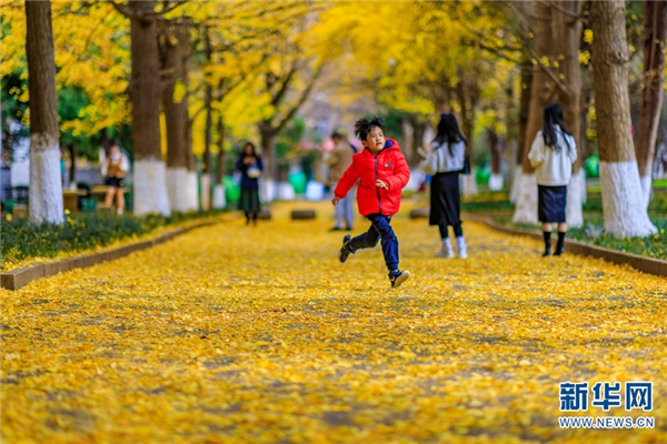 1310373194_16395314480231n 1310373194_16395314480231n