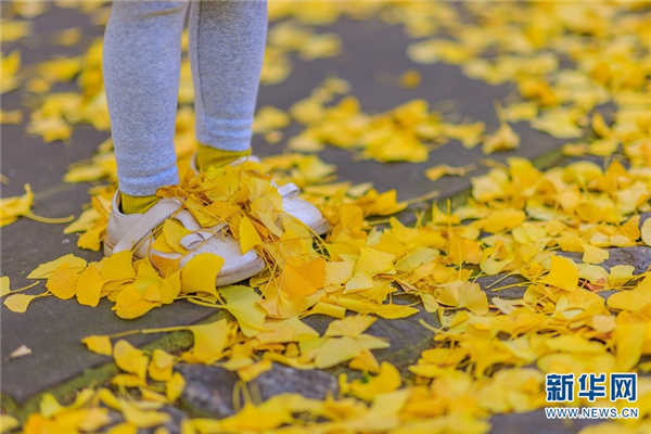 1310373194_16395314484081n 1310373194_16395314484081n