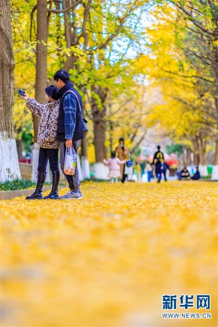 1310373194_16395314486971n 1310373194_16395314486971n