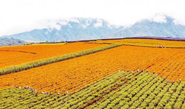 202112151027388534 202112151027388534