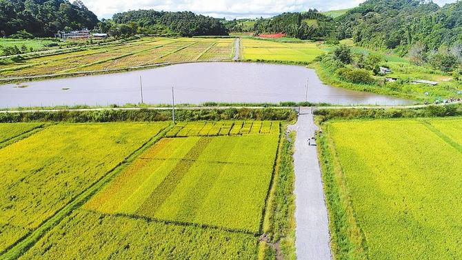 微信圖片_20211217090243 微信圖片_20211217090243