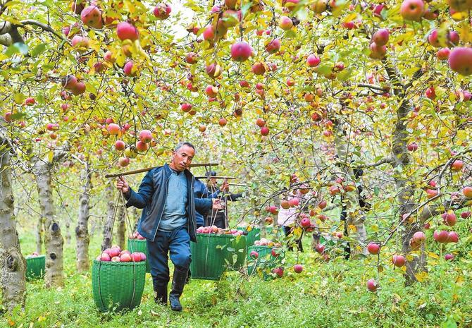 微信圖片_20211217091923 微信圖片_20211217091923