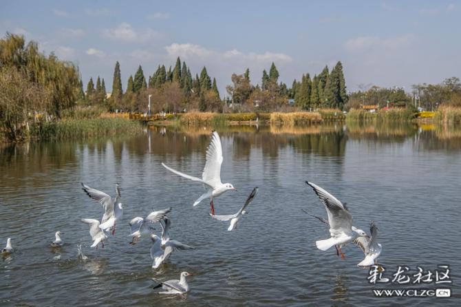 fqyp3bspbs8 fqyp3bspbs8