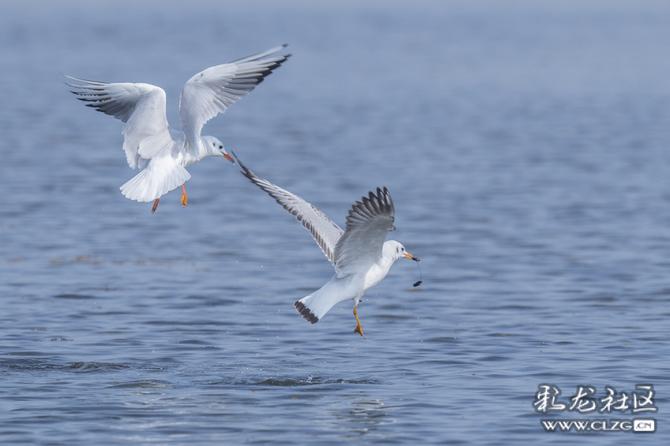 y9ios1u2km y9ios1u2km