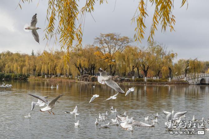 hzad2nkr3jj hzad2nkr3jj