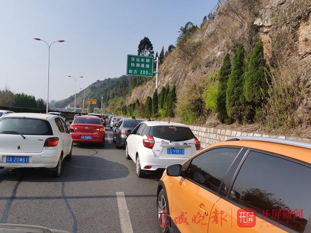 金寶山迎來掃墓高峰，17969人市民前往祭掃