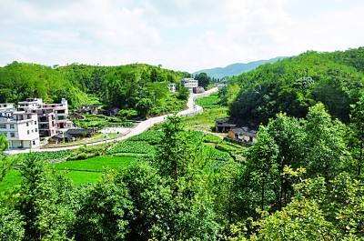 “紅土地”上的“綠色奇跡”：治理的是水土，改善的是民生