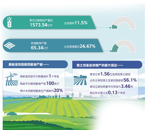 W020211219228363151365