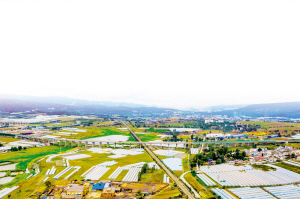 23001639942107600 23001639942107600