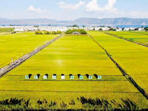 95651639942107600 95651639942107600