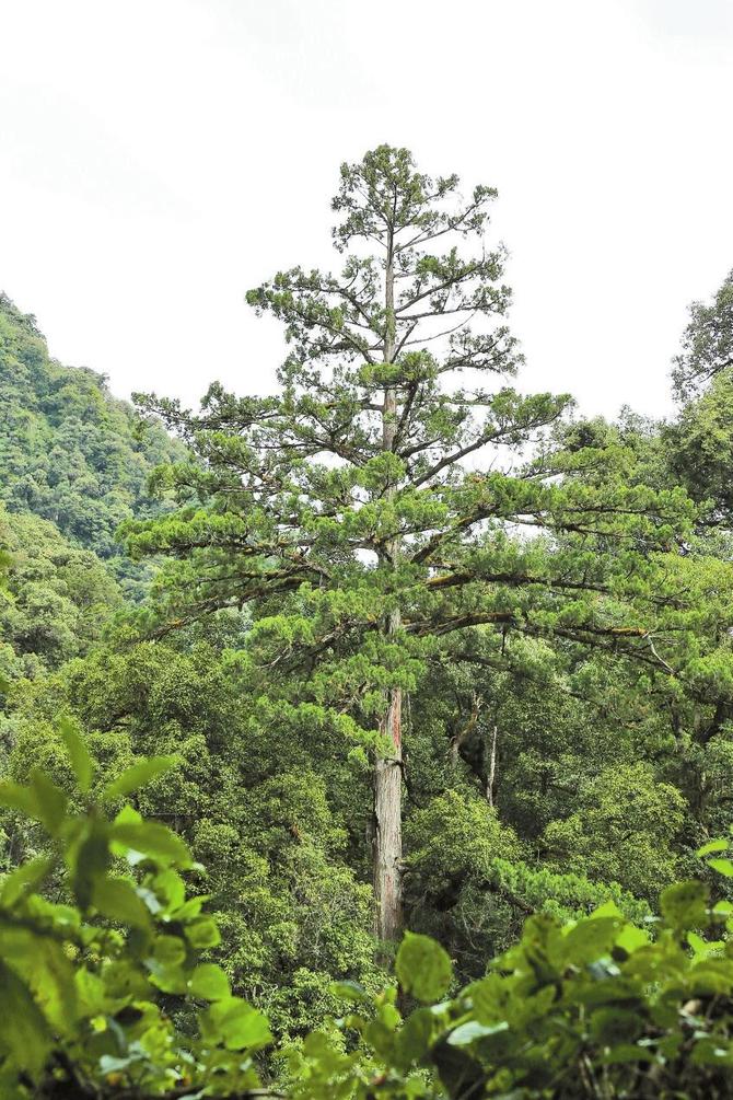 00304356713_fb3f0943 00304356713_fb3f0943