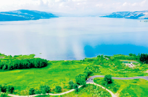 46971639942111143 46971639942111143